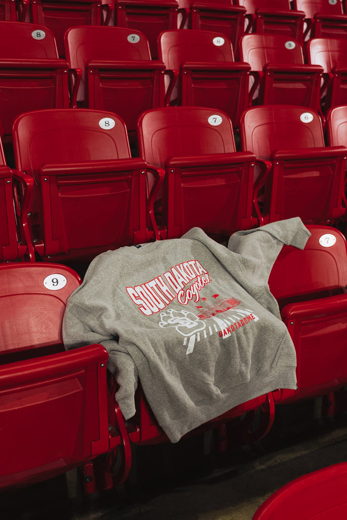 dakota dome oversized crewneck